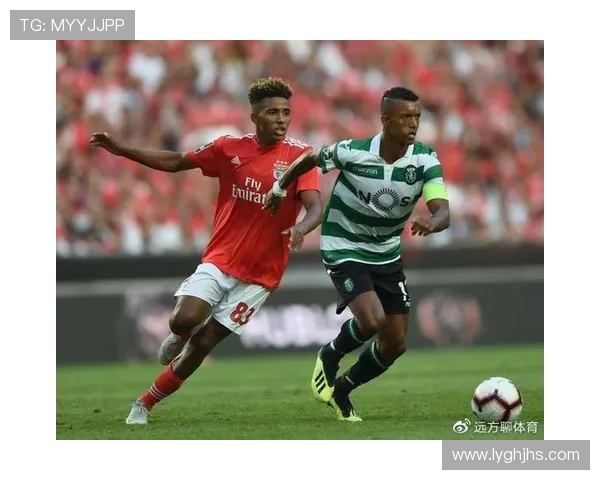 南京排球队逆袭欧锦赛的传奇旅程与背后故事揭秘