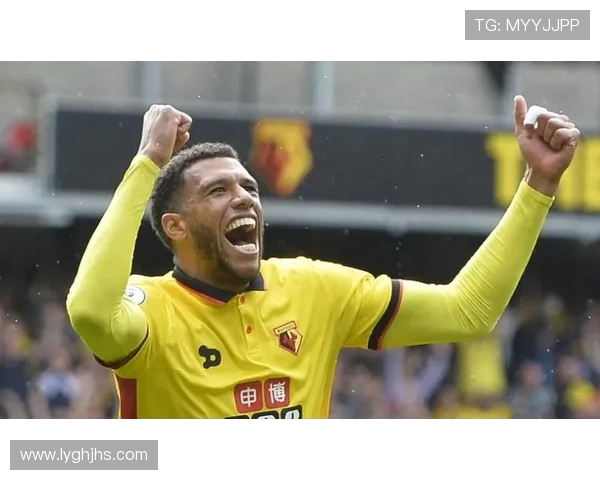 埃弗顿对阵沃特福德直播精彩回放及赛后分析全攻略